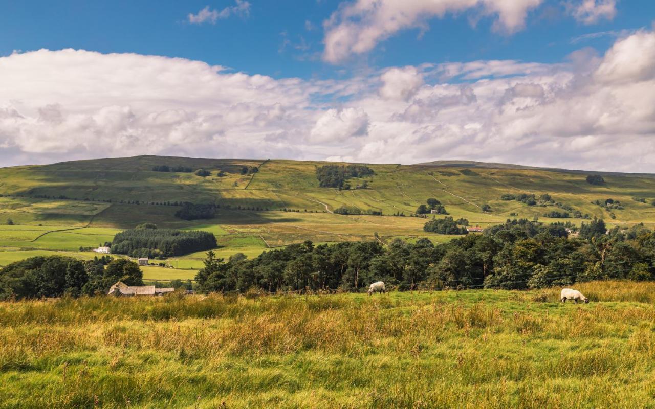 Alston House Hotel エクステリア 写真